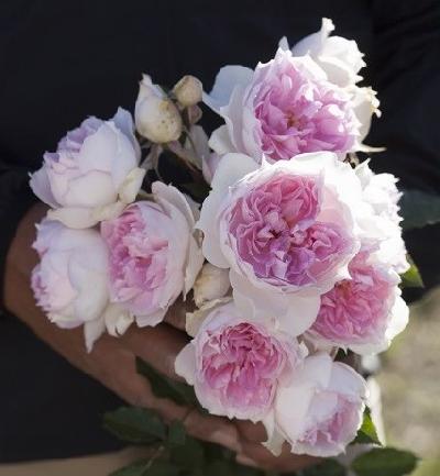 �������