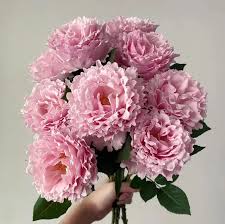 ���� ����