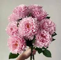 ���� ����