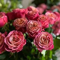 ����� ����